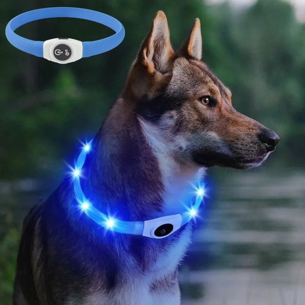 LED Hundehalsband – USB aufladbar, wasserdicht, für kleine, mittelgroße & große Hunde